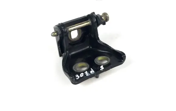 Peugeot 307 Rear door lower hinge 