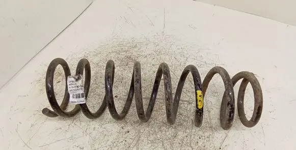 Front coil spring