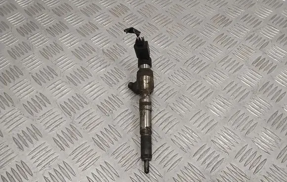 Nissan Qashqai Fuel injector H8200704191