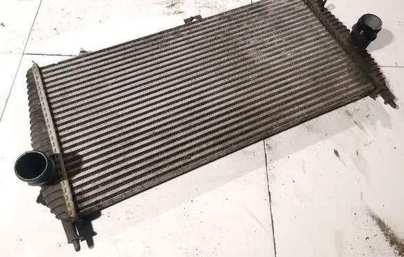 Peugeot 607 Intercooler radiator