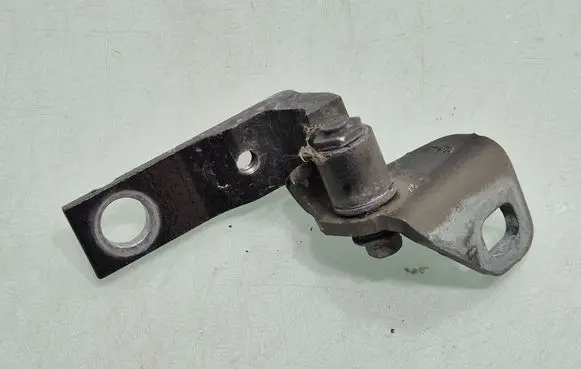 Rear door lower hinge