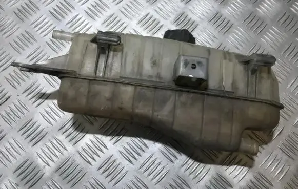 Renault Clio III Coolant expansion tank/reservoir 