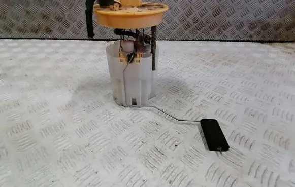 Ford Ecosport In-tank fuel pump JX619H307AB 066502