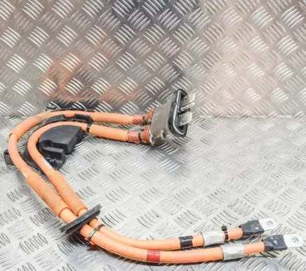 Tesla Model S Other wiring loom 102256510E 100333600B
