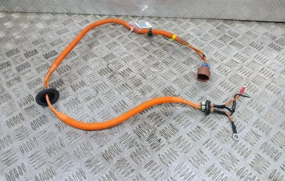 Tesla Model S Other wiring loom