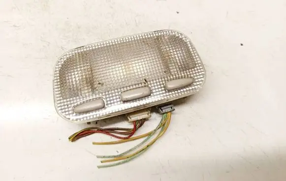 Citroen C5 Front seat light 
