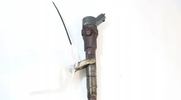 Renault Megane II Fuel injector 0445110110B