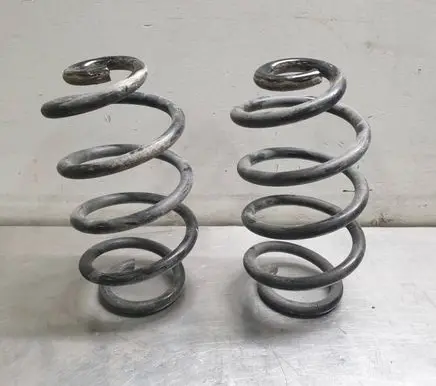 Renault Zoe Front coil spring 550203432R 550202131R
