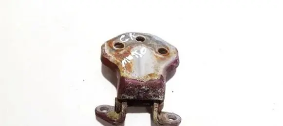 Tailgate/trunk/boot hinge