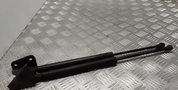 Citroen DS3 Tailgate/trunk strut/damper 9687550980