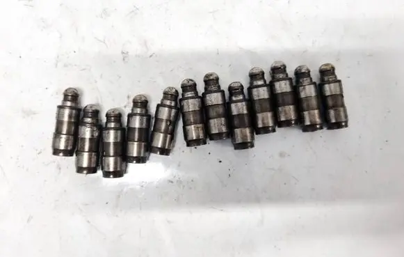 Volkswagen PASSAT B6 Tappets lifter 