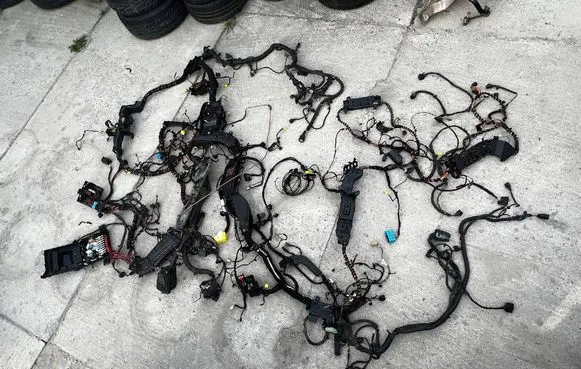 Porsche Panamera (970) Wiring harness 97061021700