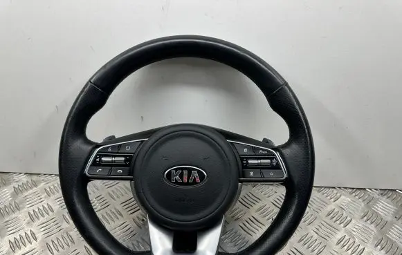 KIA Sportage Steering wheel 56900F100