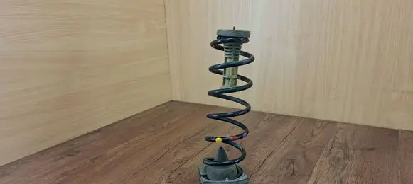 Renault Megane IV Rear coil spring 550201979R