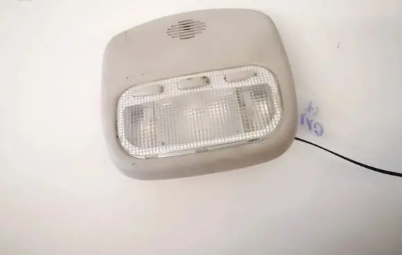 Peugeot 407 Front seat light