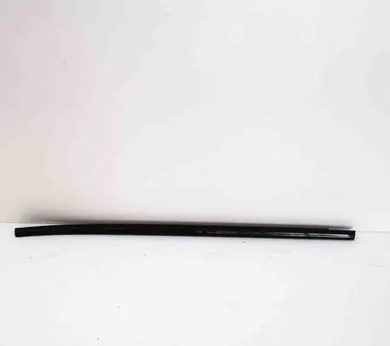 BMW X3 G01 Rear door glass trim molding 7410039