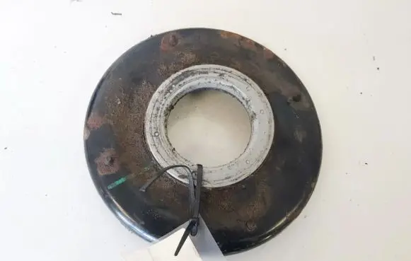 Coil spring mount