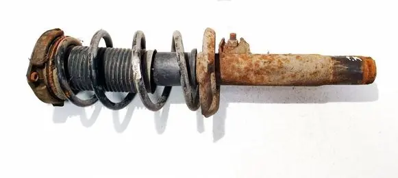 Volkswagen Golf V Front shock absorber/damper 