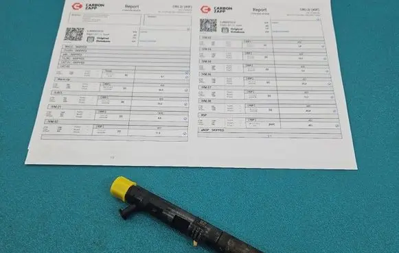 Renault Modus Fuel injector EJBR05101D IMPRK1549359