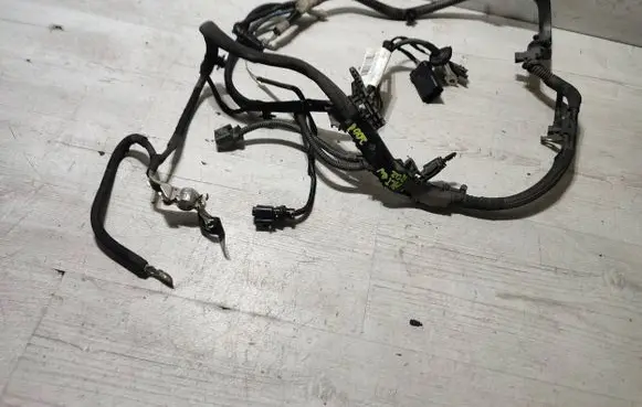 Peugeot 2008 I Wires (generator/alternator) 9806701980 DPFP09998