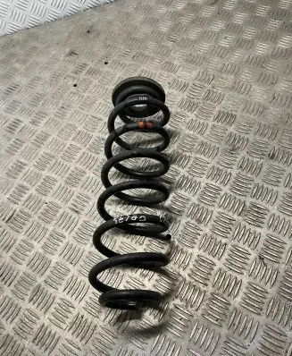 Skoda Yeti (5L) Rear coil spring