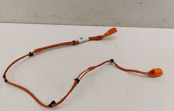 Volkswagen ID.4 Other wiring loom 1EA971475C