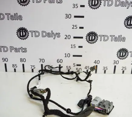 Ford Kuga II Other wiring loom GJ5T14D202PB GV4T15K857