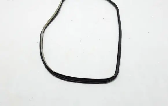 Renault Laguna III Front door rubber seal 808330001R