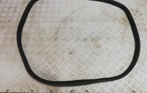 Renault Megane IV Rubber seal rear door 