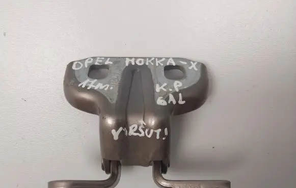 Rear door lower hinge