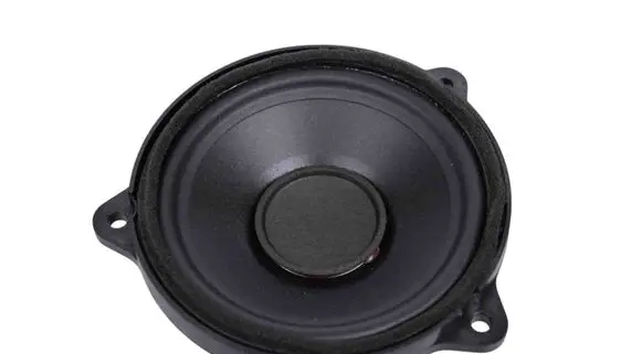 Land Rover Range Rover Evoque L538 Panel speaker BJ3218808BB