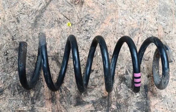 Volkswagen PASSAT B5.5 Rear coil spring