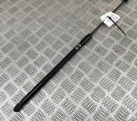 Opel Mokka B Tailgate/trunk strut/damper 9834877880