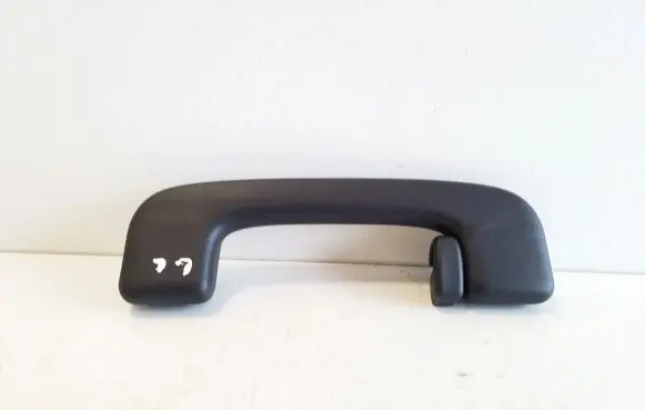 Ford Kuga III Rear interior roof grab handle