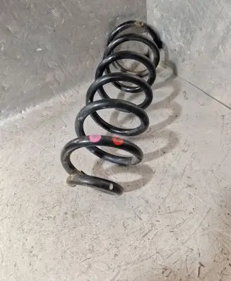 Rear coil spring