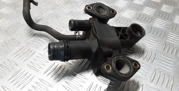 Thermostat/thermostat housing