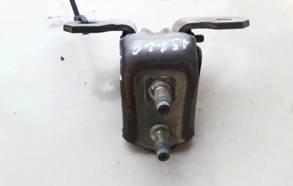 Renault Laguna II Rear door lower hinge