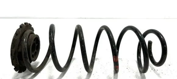 Rear coil spring
