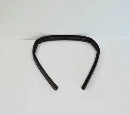 Dodge Challenger Rubber seal front coupe door 