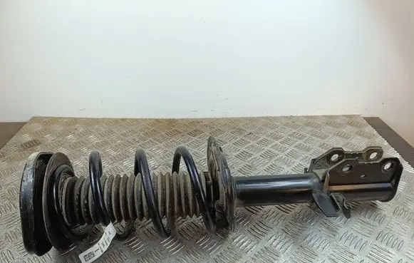 Ford Escape IV Front shock absorber with coil spring 1032022 CX482 LX615310