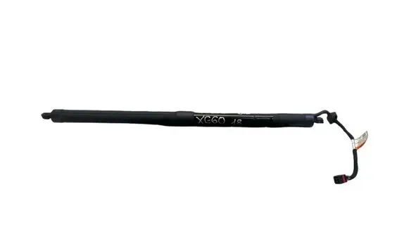 Tailgate/trunk strut/damper