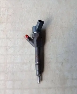 Renault Megane II Fuel injector 0445110110B