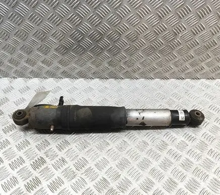 Cadillac Escalade Rear shock absorber/damper 22312299