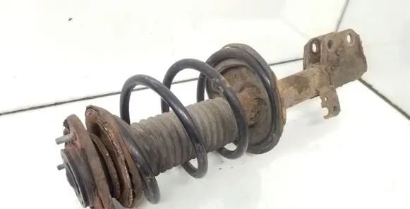Front shock absorber with coil spring