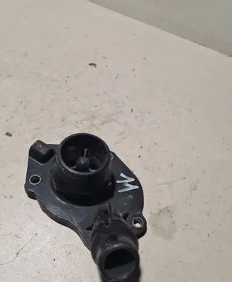 Thermostat/thermostat housing