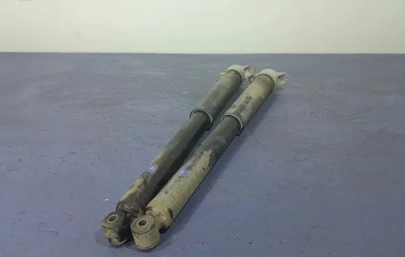 Ford Kuga II Rear shock absorber/damper 8V61-18159-AB