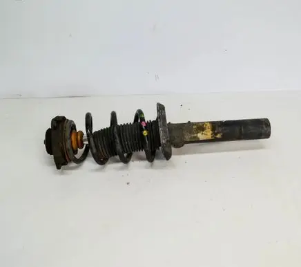 Volkswagen PASSAT B6 Front shock absorber/damper 