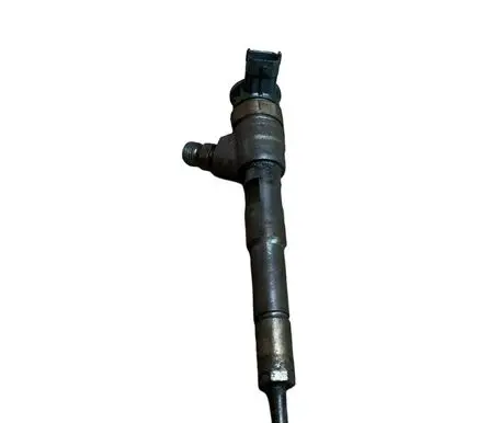 Renault Clio IV Fuel injector 0445110485 H8201108033