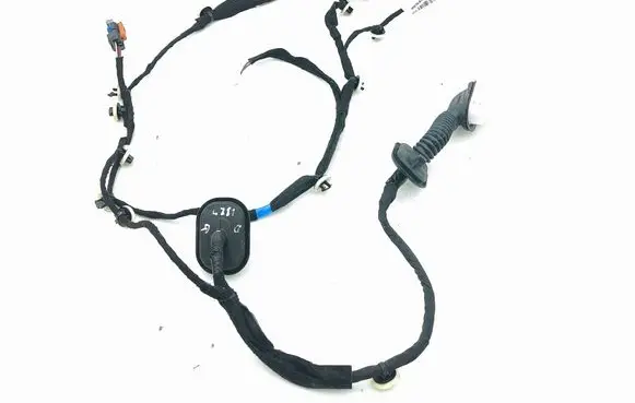 Rear door wiring loom