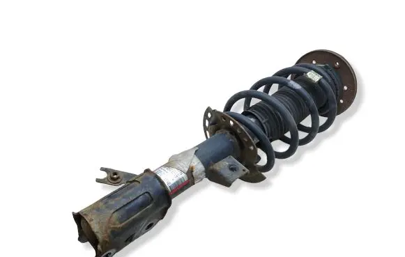 Ford Edge II Front shock absorber with coil spring F2GC18045